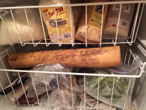 Rain Stick in the Freezer