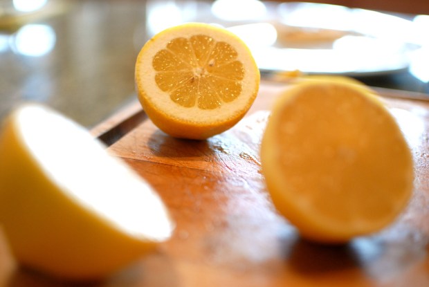 Caramelize Life grows indoor lemon trees