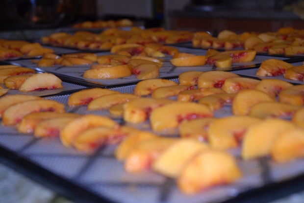 Peaches Dried at Caramelize Life