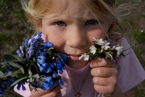 Hand picked flowers Hannah WP