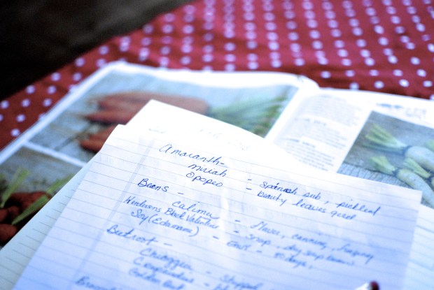 RKW_4362 Seed Cataloguing 2/2013 WP color