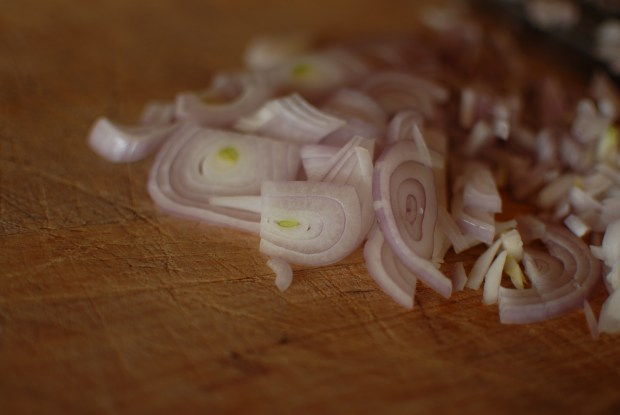 Sliced Shallots rachellekweymuller