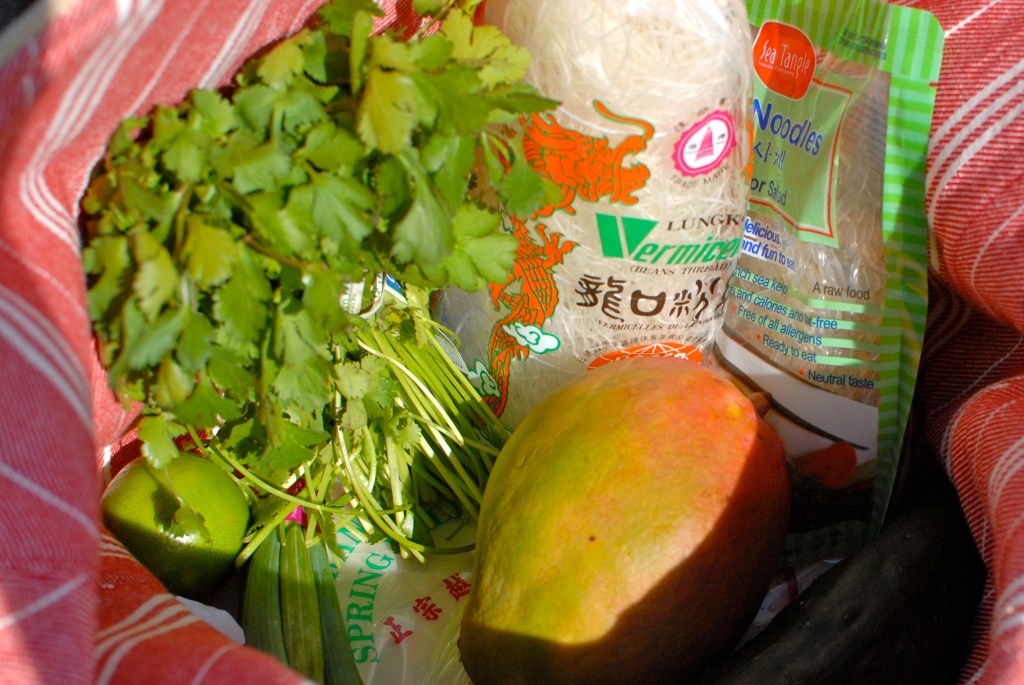 RachelleKWeymuller/Caramelizelife.com Mango Spring Rolls