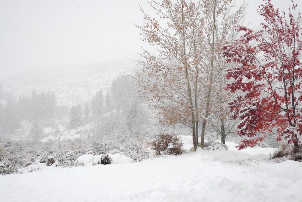 Winter storm arrives