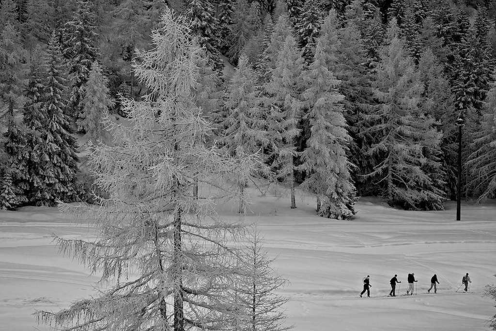 Black and White Backcountry Skiers Italy