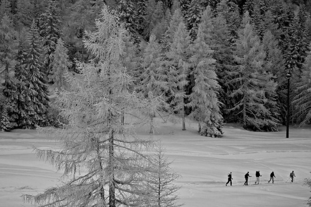 Black and White Backcountry Skiers Italy