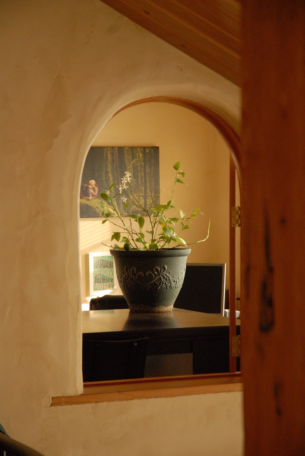 Blooming potted indoor lemon tree