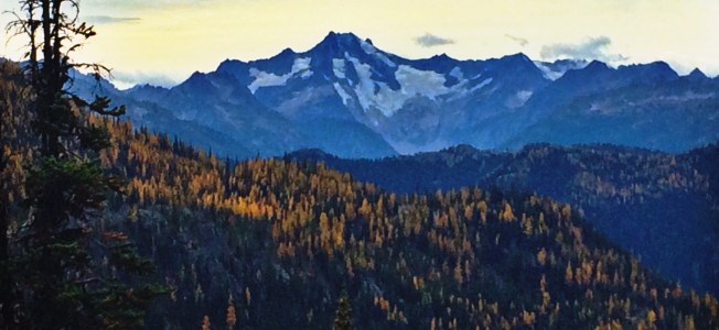 Tamerack and Bonanza