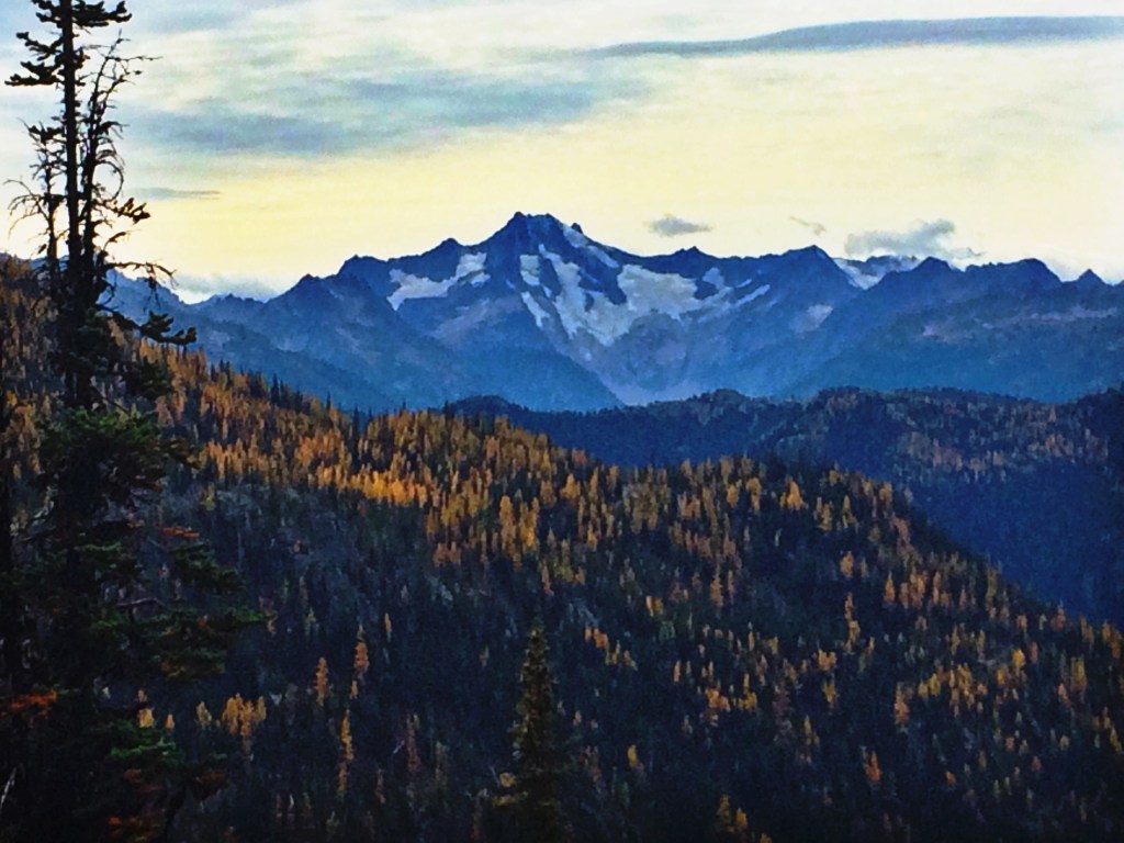 Tamerack and Bonanza